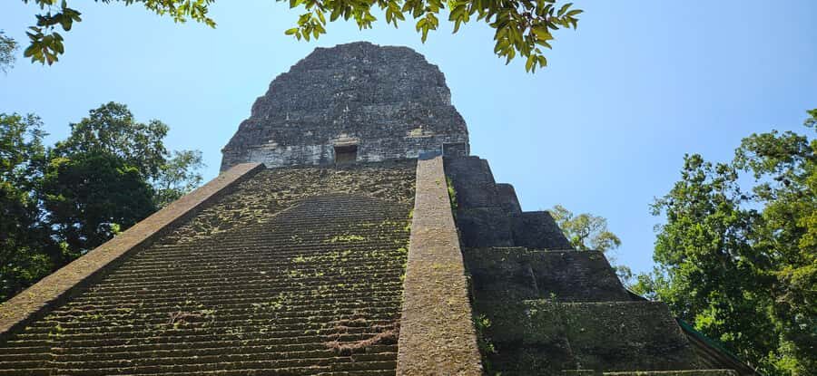 Tikal Group Tour Transportation, Guide plus Lunch - Temple 4: The 70-Meter Climb and the Star Wars Detail