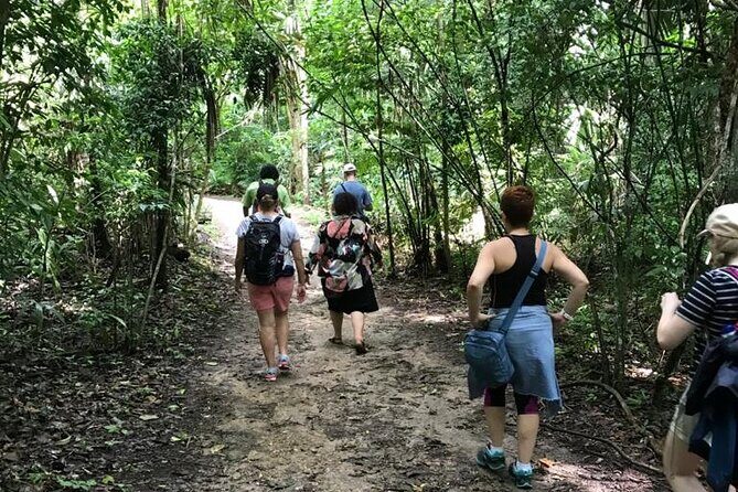 Tikal Private Day Tour Maya Adventure from Flores - Temple IV: the tall climb with the Star Wars connection
