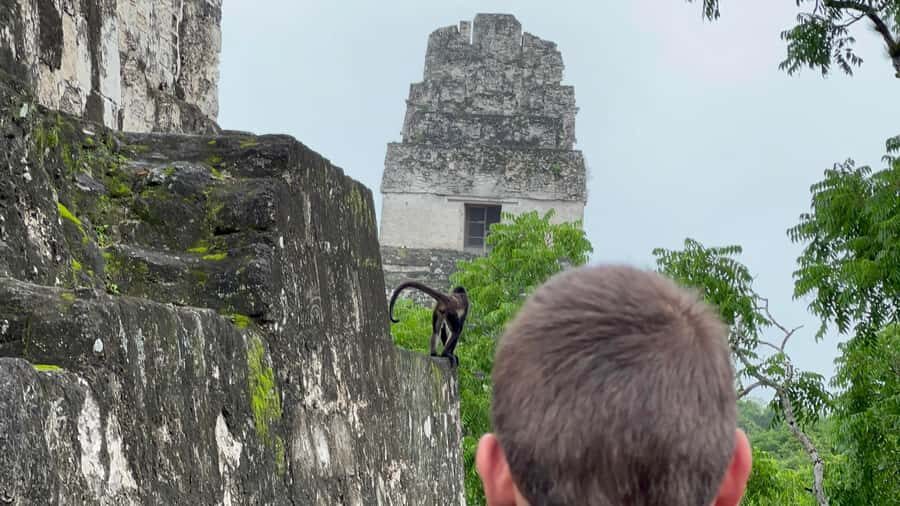Tikal Sunrise, Archeological focus and Wildlife Spotting - Great Plaza: Where the Energy—and Restoration—Show