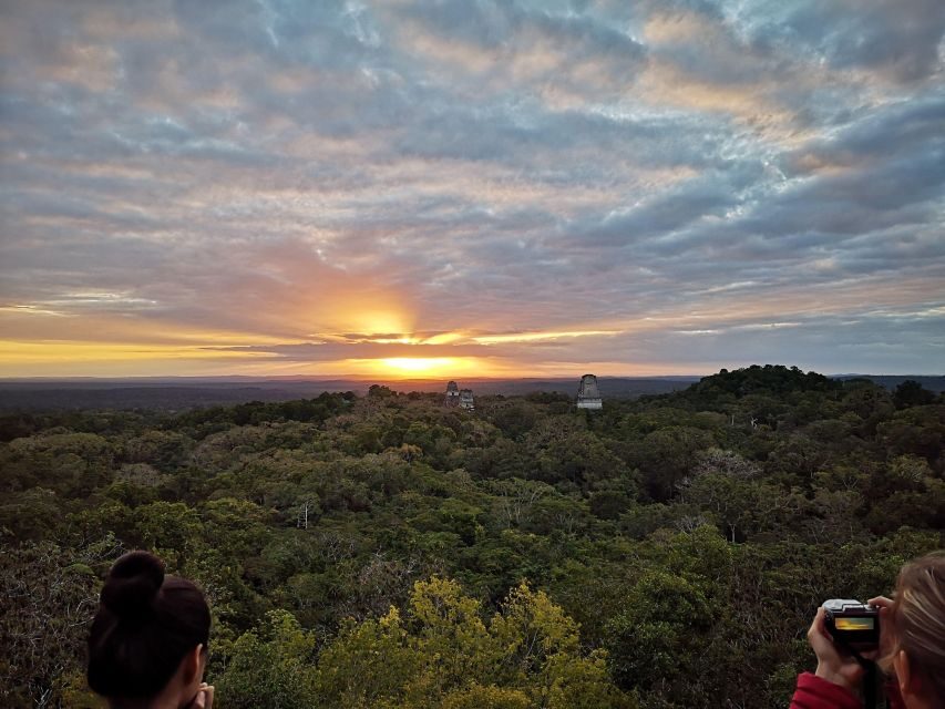 Tikal Sunrise, Archeological focus and Wildlife Spotting - Wildlife, Timing, and What You Should Watch For