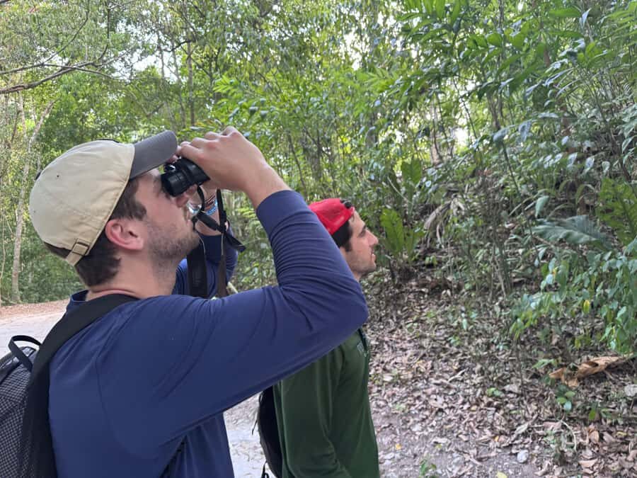 Tikal Sunset, Archeological focus and Wildlife Spotting - From Trail Gate to Palace of Grooves: the start that sets the tone