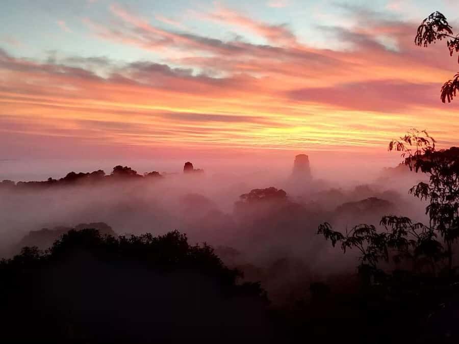 Tikal Sunset Experience: Archaeological Tour + Sunset Views - Key things you’ll notice on the Tikal Sunset Experience