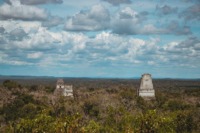 Tikal Tour From Antigua - Tikal: walking five miles and climbing four temples