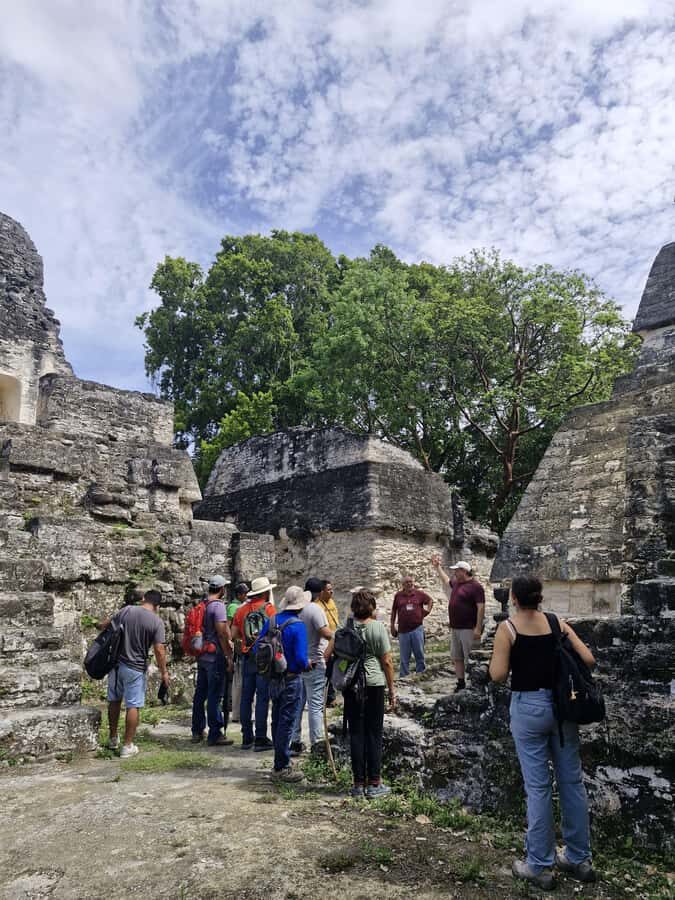 Tour and transportation with tour guide to Tikal. - The walk itself: 3.5 hours outdoors and how to handle it