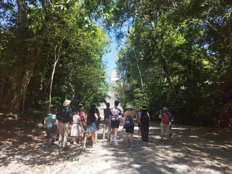 Tour to Tikal: from Mundo Maya Airport in Flores - Visitor Center Setup: Map, Bathrooms, and a Real Breather