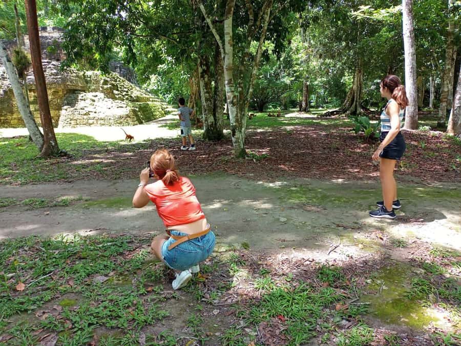 Tour to Tikal: from Mundo Maya Airport in Flores - Ticket Control and the Bracelet Moment