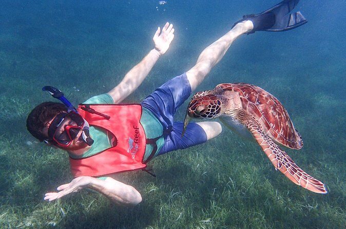 Under the Sea snorkeling(Stingray/Kayak/ Power Snorkel available) - Who should book Under the Sea snorkeling, and who might want another option